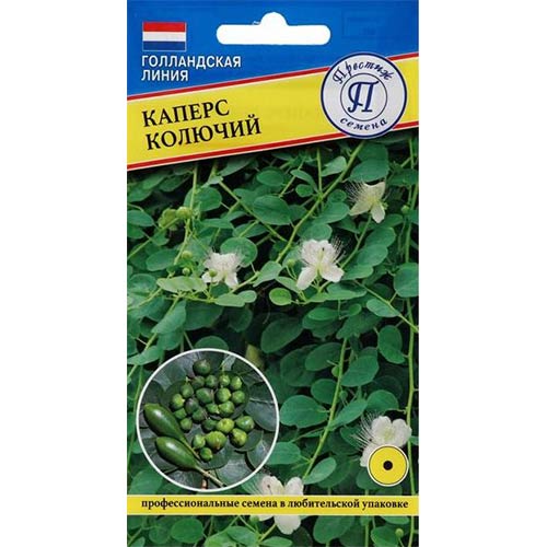 Каперс колючий Престиж артикул фото 1 Каперс колючий Престиж изображение 1 артикул 81347