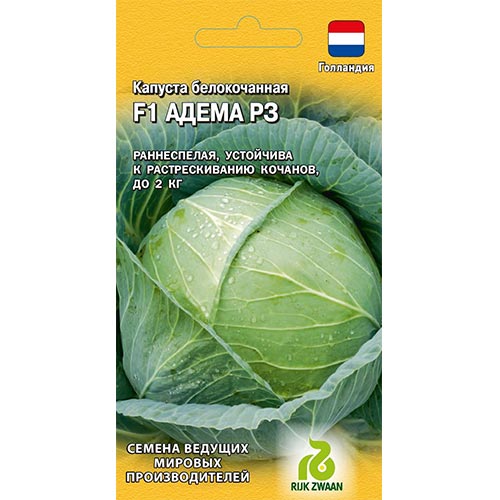 Капуста белокочанная Адема РЗ F1 Гавриш изображение 1 артикул 91687
