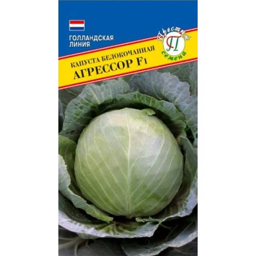 Капуста белокочанная Агрессор F1 Престиж изображение 1 артикул 71364