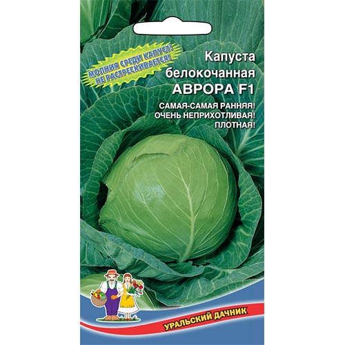 Капуста белокочанная Аврора F1 Уральский дачник изображение 1 артикул 94513