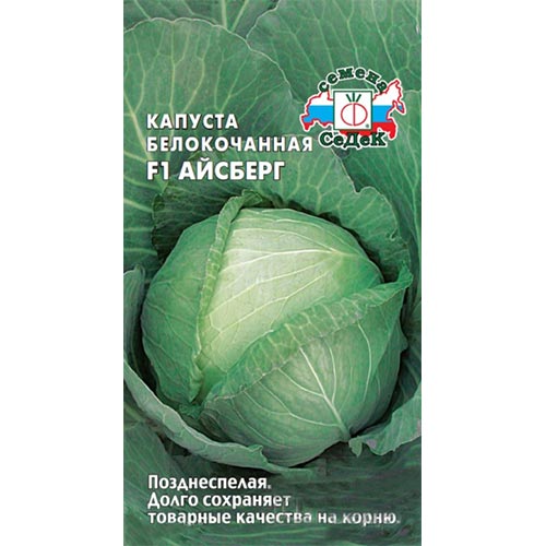 Капуста белокочанная Айсберг F1 Седек изображение 1 артикул 93336