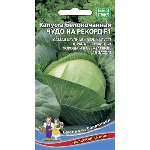 Капуста белокочанная Чудо на рекорд F1 Уральский дачник изображение 1 артикул 83104
