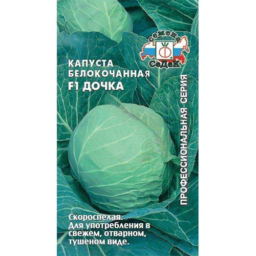 Капуста белокочанная Дочка F1 Седек изображение 1 артикул 93342
