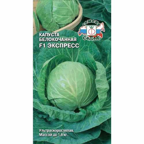 Капуста белокочанная Экспресс F1 Седек изображение 1 артикул 40468