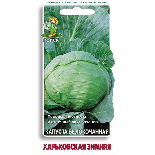 Капуста белокочанная Харьковская зимняя Поиск артикул фото 1 Капуста белокочанная Харьковская зимняя Поиск изображение 1 артикул 81877
