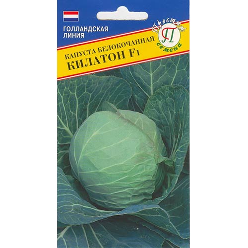Капуста белокочанная Килатон F1 Престиж изображение 1 артикул 84174