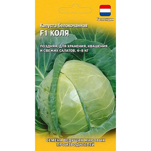 Капуста белокочанная Коля F1 Гавриш изображение 1 артикул 91691