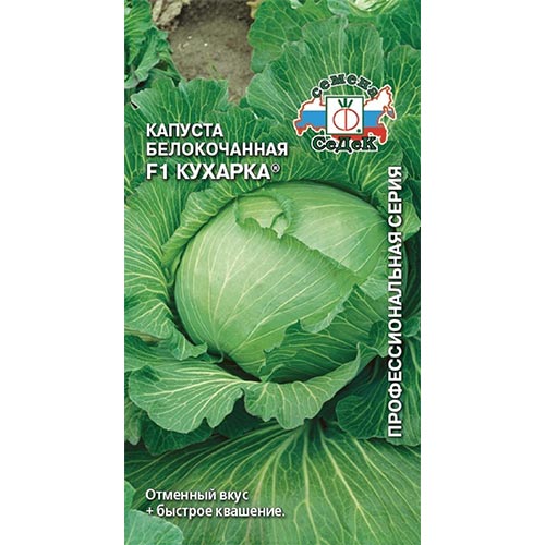 Капуста белокочанная Кухарка F1 Седек изображение 1 артикул 93346