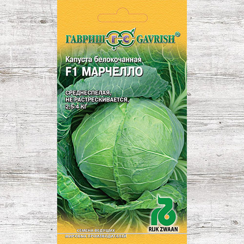 Капуста белокочанная Марчелло F1 Гавриш изображение 1 артикул 73963