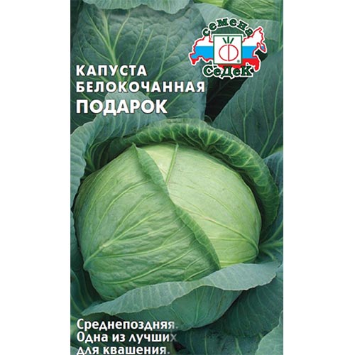Капуста белокочанная Подарок Седек изображение 1 артикул 93351