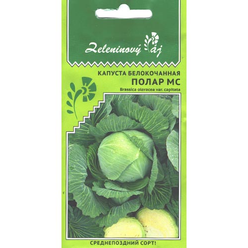 Капуста белокочанная Полар МС Уральский дачник изображение 1 артикул 94516