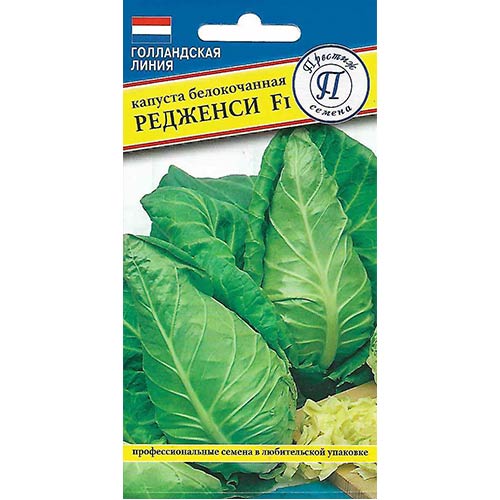 Капуста белокочанная Редженси F1 Престиж изображение 1 артикул 81128