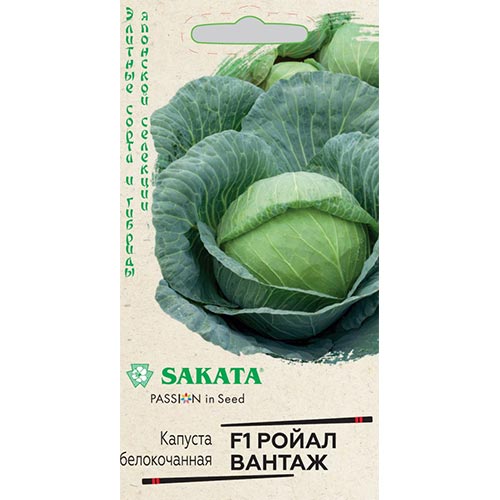Капуста белокочанная Ройал Вантаж F1 Гавриш изображение 1 артикул 91693