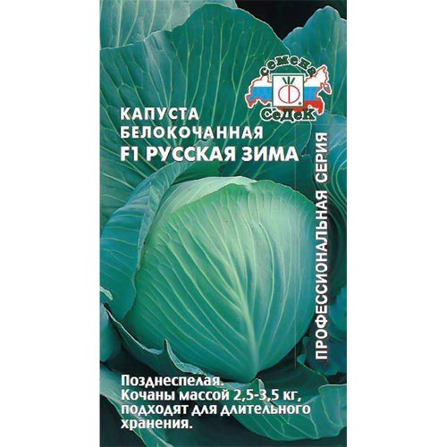 Капуста белокочанная Русская зима F1 Седек изображение 1 артикул 93354