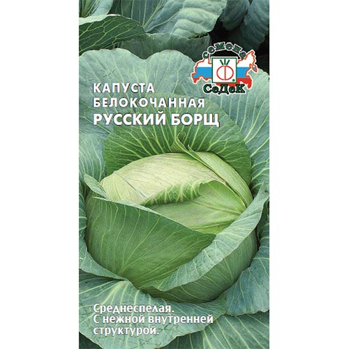Капуста белокочанная Русский борщ Седек изображение 1 артикул 93355