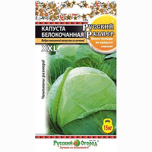 Капуста белокочанная Русский Размер Русский огород НК изображение 1 артикул 69886