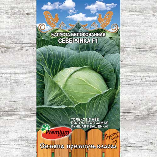 Капуста белокочанная Северянка F1 изображение 1 артикул 83751