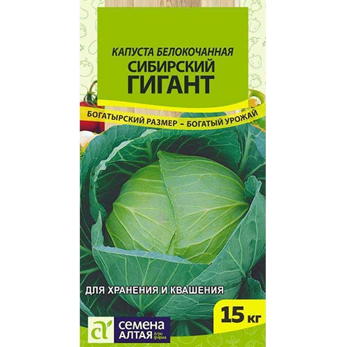 Капуста белокочанная Сибирский гигант Семена Алтая артикул фото 1 Капуста белокочанная Сибирский гигант Семена Алтая изображение 1 артикул 78329