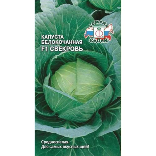 Капуста белокочанная Свекровь F1 Седек изображение 1 артикул 93358