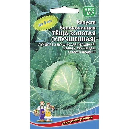 Капуста белокочанная Теща золотая Уральский дачник изображение 1 артикул 94518