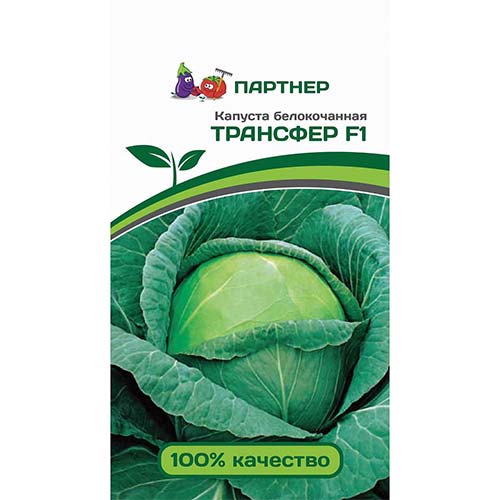 Капуста белокочанная Трансфер F1 Партнер изображение 1 артикул 81013