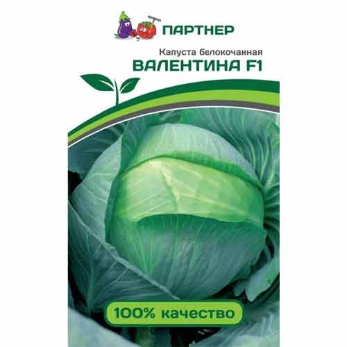 Капуста белокочанная Валентина F1 Партнер изображение 1 артикул 81008
