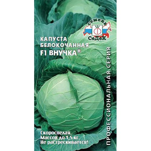 Капуста белокочанная Внучка F1 Седек изображение 1 артикул 93340