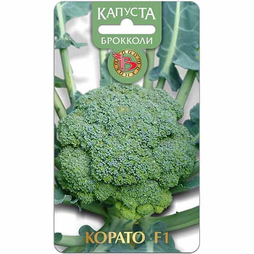 Капуста брокколи Корато F1 Биотехника артикул фото 1 Капуста брокколи Корато F1 Биотехника изображение 1 артикул 84590