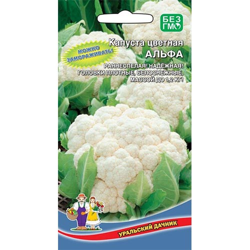 Капуста цветная Альфа Уральский дачник изображение 1 артикул 94537