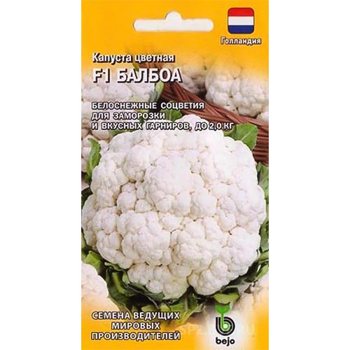 Капуста цветная Балбоа F1 Гавриш изображение 1 артикул 91705