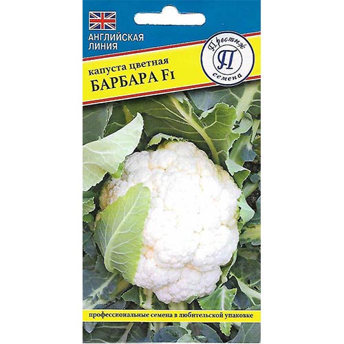 Капуста цветная Барбара F1 Престиж артикул фото 1 Капуста цветная Барбара F1 Престиж изображение 1 артикул 81142
