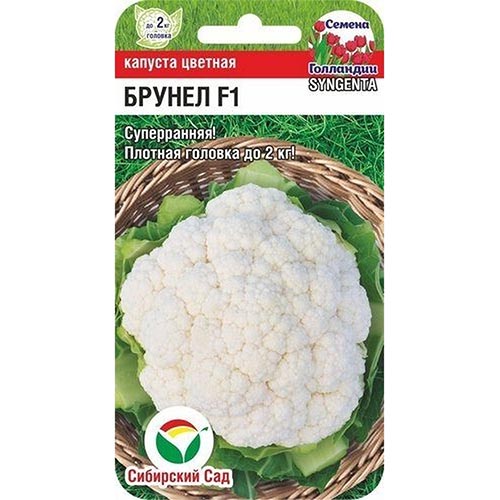 Капуста цветная Брунел F1 Сибирский сад изображение 1 артикул 94350