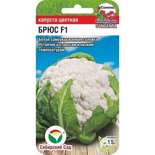 Капуста цветная Брюс F1 Сибирский сад изображение 1 артикул 94906