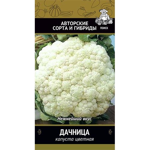 Капуста цветная Дачница Поиск артикул фото 1 Капуста цветная Дачница Поиск изображение 1 артикул 81889