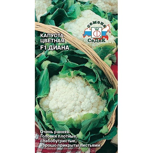 Капуста цветная Диана F1 Седек изображение 1 артикул 93393