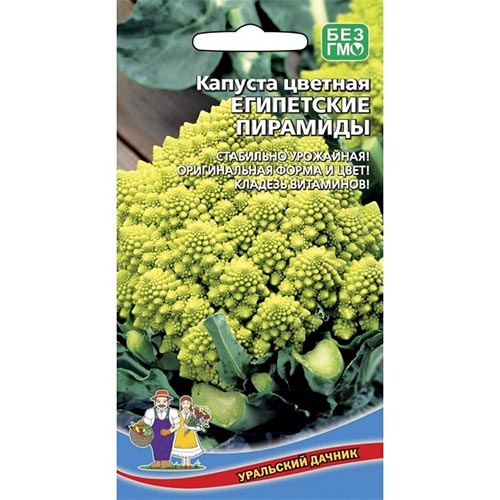 Капуста цветная Египетские пирамиды Уральский дачник изображение 1 артикул 94540