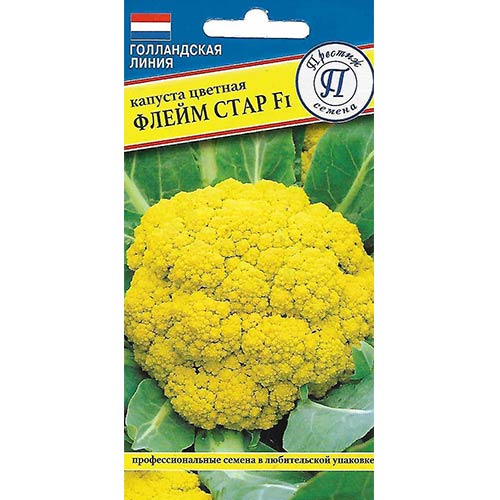 Капуста цветная Флейм Стар F1 Престиж артикул фото 1 Капуста цветная Флейм Стар F1 Престиж изображение 1 артикул 81149