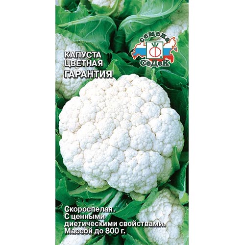 Капуста цветная Гарантия Седек изображение 1 артикул 93392