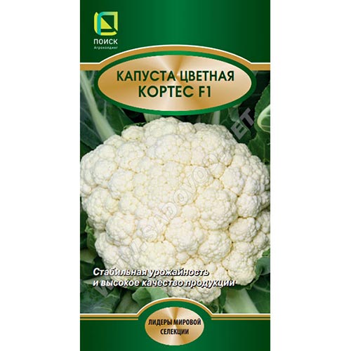 Капуста цветная Кортес F1 Поиск изображение 1 артикул 92746