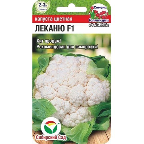 Капуста цветная Леканю F1 Сибирский сад артикул фото 1 Капуста цветная Леканю F1 Сибирский сад изображение 1 артикул 94353