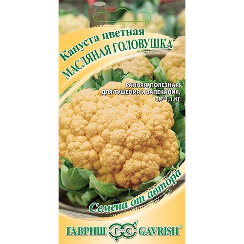 Капуста цветная Масляная головушка Гавриш изображение 1 артикул 91708