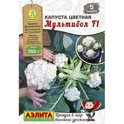 Капуста цветная Мультибол F1 Аэлита артикул фото 1 Капуста цветная Мультибол F1 Аэлита изображение 1 артикул 98294