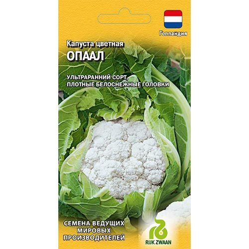 Капуста цветная Опаал Гавриш изображение 1 артикул 91709