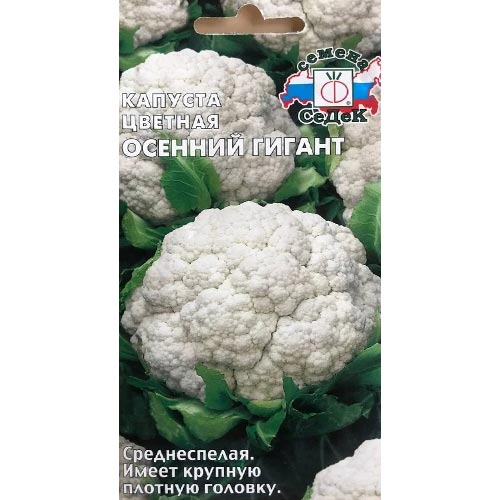 Капуста цветная Осенний гигант Седек изображение 1 артикул 93397