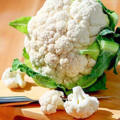 Капуста цветная Русский Размер F1 артикул фото 1 Капуста цветная Русский Размер F1 изображение 1 артикул 69889