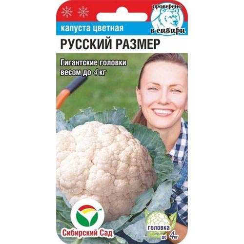 Капуста цветная Русский Размер Сибирский сад артикул фото 1 Капуста цветная Русский Размер Сибирский сад изображение 1 артикул 71816