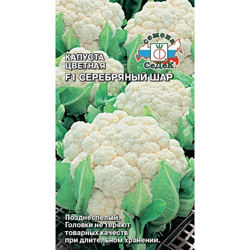 Капуста цветная Серебряный шар F1 Седек изображение 1 артикул 93399