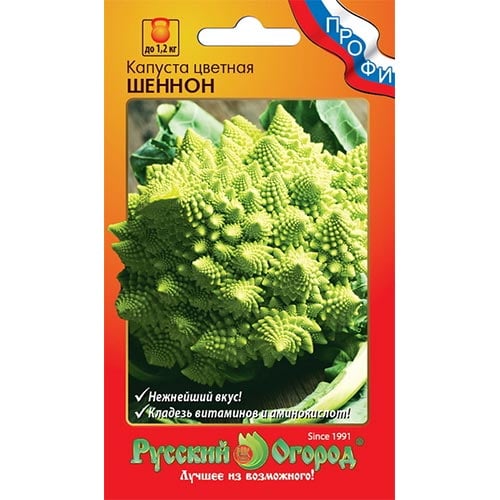 Капуста цветная Шеннон НК изображение 1 артикул 92327