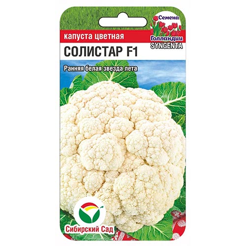 Капуста цветная Солистар Сибирский сад артикул фото 1 Капуста цветная Солистар Сибирский сад изображение 1 артикул 94355