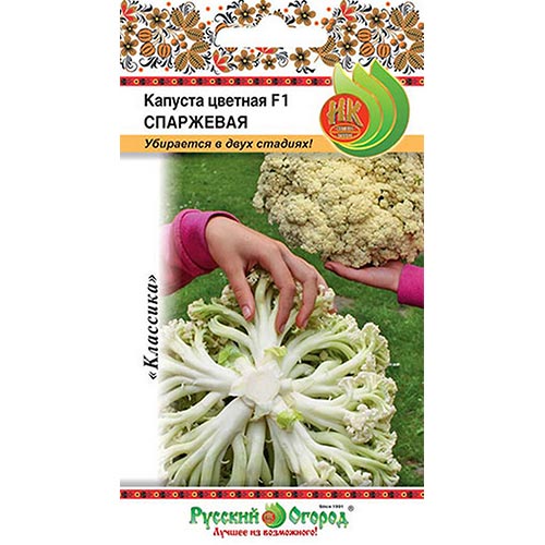 Капуста цветная Спаржевая F1 НК изображение 1 артикул 92326